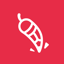 Chilliestudio Marketing
